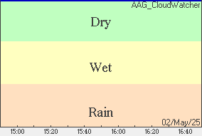 Rain Graph